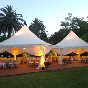 Carpa clásica en boda
