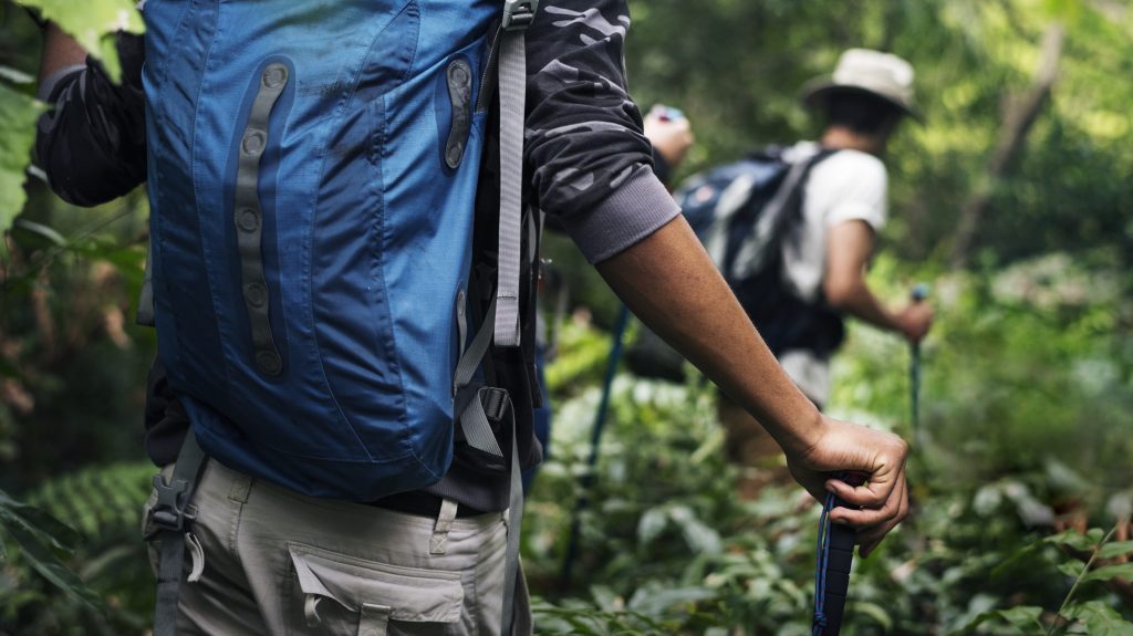hikers-trekking-in-a-forest-together-2023-11-27-05-32-42-utc-2048x1320